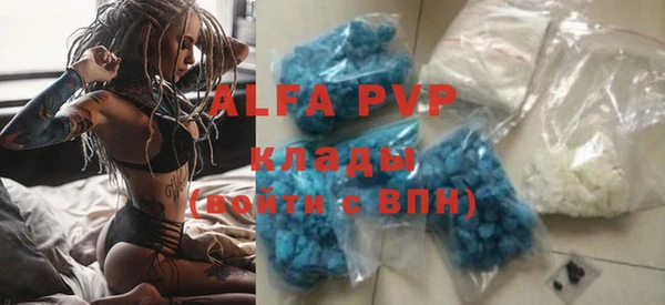 гашик Богданович