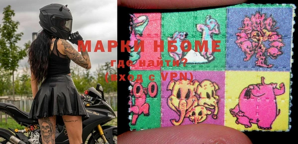 гашик Богданович