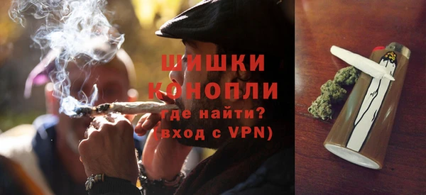 гашик Богданович