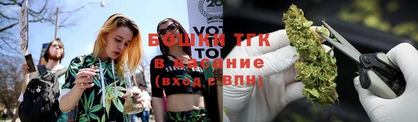mix Богородицк