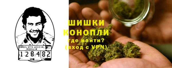 гашик Богданович