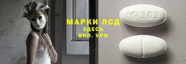гашик Богданович