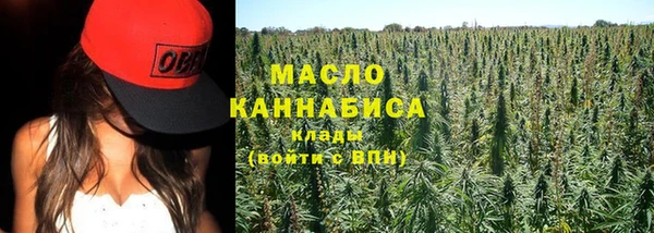 mix Богородицк