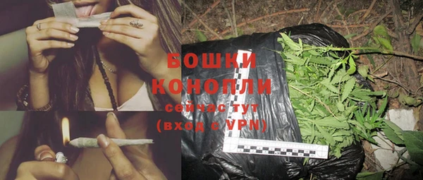 гашик Богданович