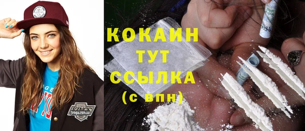 гашик Богданович