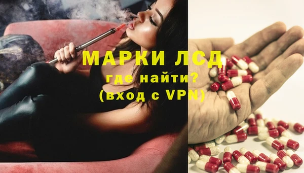 гашик Богданович