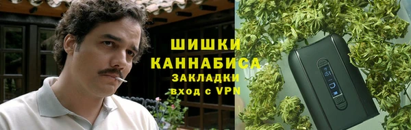 гашик Богданович